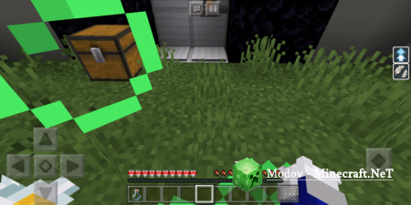 Minecraft Reborn �����/��� PE 1.16, 1.15,  1.14, 1.13, 1.12