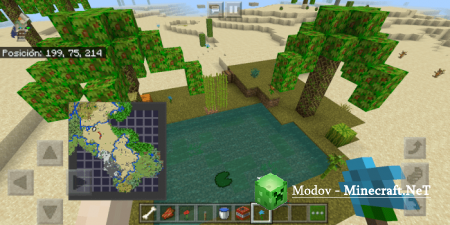 Minecraft Reborn �����/��� PE 1.16, 1.15,  1.14, 1.13, 1.12