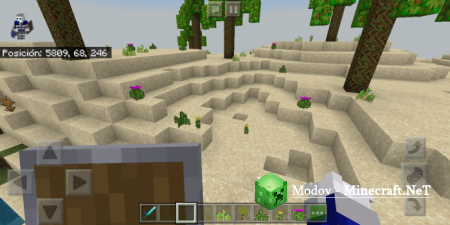 Minecraft Reborn �����/��� PE 1.16, 1.15,  1.14, 1.13, 1.12