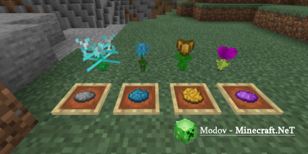 Minecraft Reborn �����/��� PE 1.16, 1.15,  1.14, 1.13, 1.12