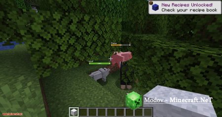 Orderly ��� 1.15.2, 1.14.4