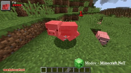 Ama�s Damage Indicator ��� 1.15.2, 1.14.4, 1.13.2 (��������� �����)