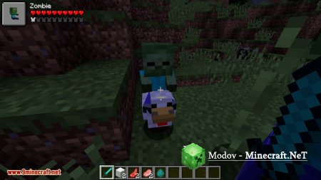 Ama�s Damage Indicator ��� 1.15.2, 1.14.4, 1.13.2 (��������� �����)