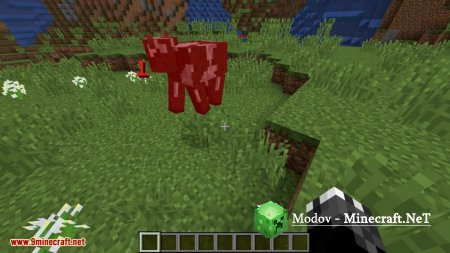 Ama�s Damage Indicator ��� 1.15.2, 1.14.4, 1.13.2 (��������� �����)