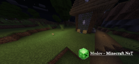 Realight �����/��� PE 1.14, 1.13, 1.12