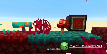 Minecraft 1.16.5 Nether Update