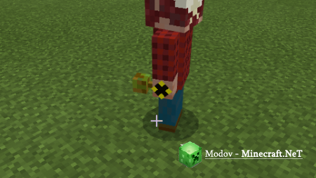 ������� �����/��� PE 1.16, 1.15, 1.14