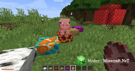 Extra Pieces ��� 1.15.2, 1.14.4