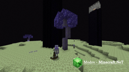 Expansion+ �����/��� PE 1.16