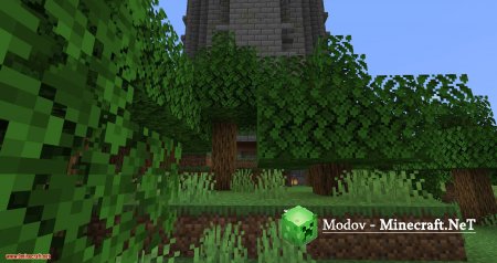 ������ ����� ��� 1.16.1, 1.15.2, 1.14.4