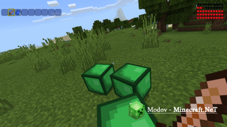 Terraria �����/��� PE 1.16