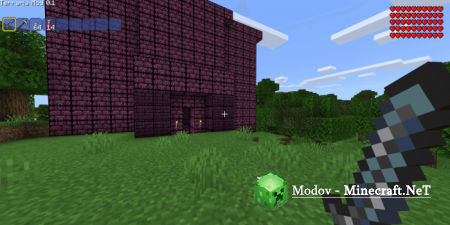 Terraria �����/��� PE 1.16