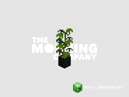 ���� ������ �����/��� PE 1.16