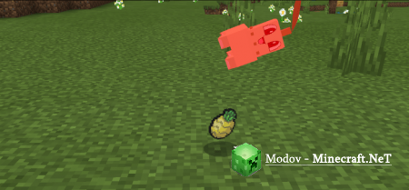 Pokemon Clear Crystal ��� PE